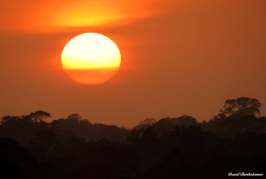 Sunrise over Caxiuanã National Forest, Para, Brazil. Photo copyright: David Bartholomew