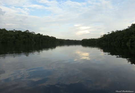 Caxiuanã National Forest, Para, Brazil. Photo copyright: David Bartholomew